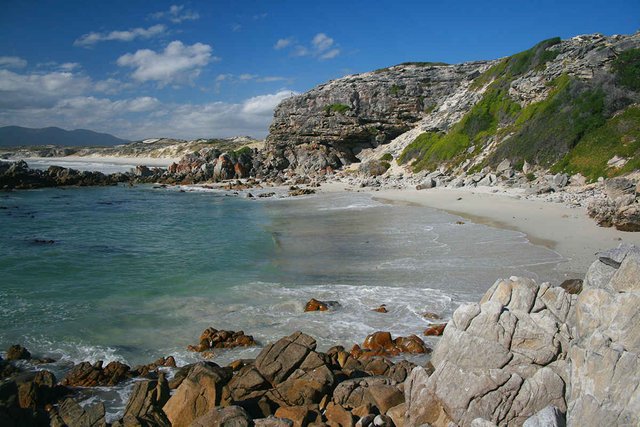 Gansbaai coastline.jpg