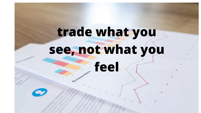 trade what you see, not what you feel (1).png