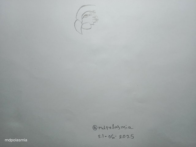 IMG_20250619_112537.jpg