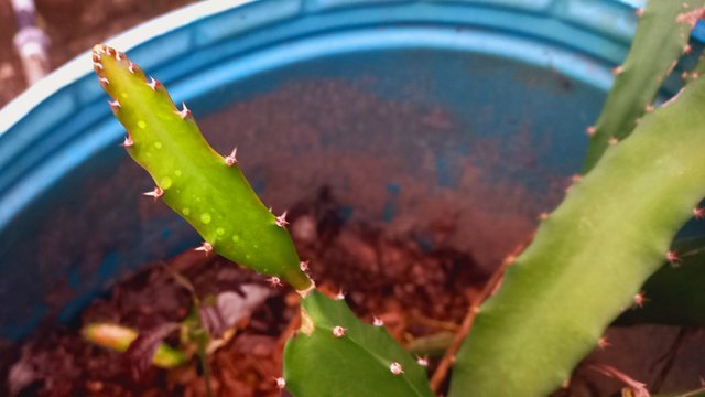 20250814_182019.jpg