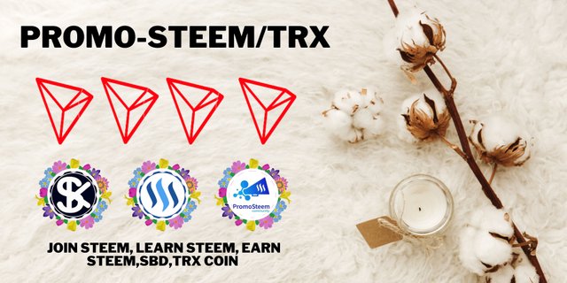 promo steem(364).jpg