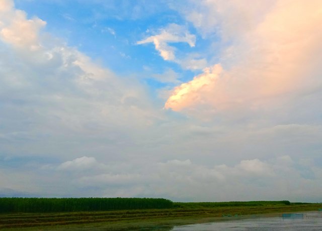 IMG_20250619_215442.jpg