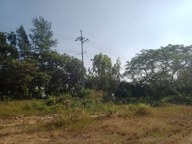 IMG20241206100624.jpg