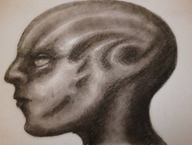 20250730_113131.jpg
