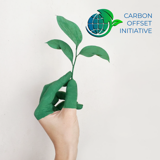 Carbon Offset Initiative