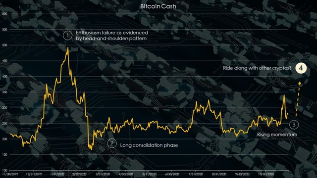 bitcoin-cash-bch-cryptos-chart-1024x576.jpg