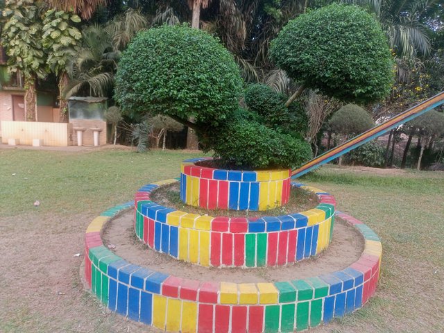 IMG20250402171842.jpg