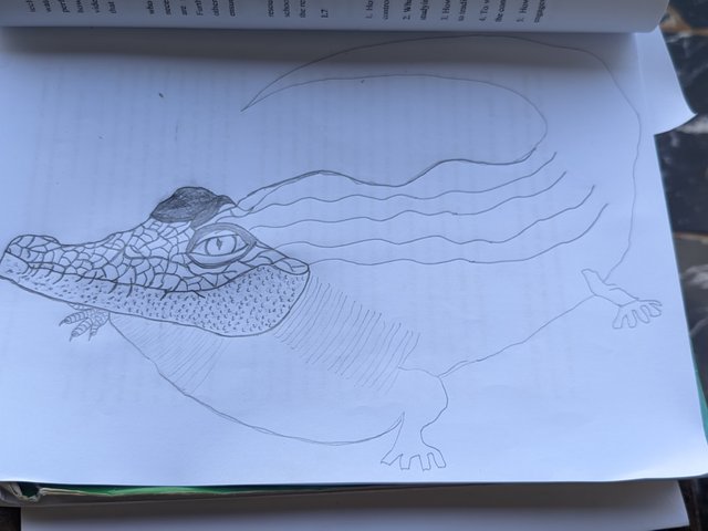 1000762477.jpg