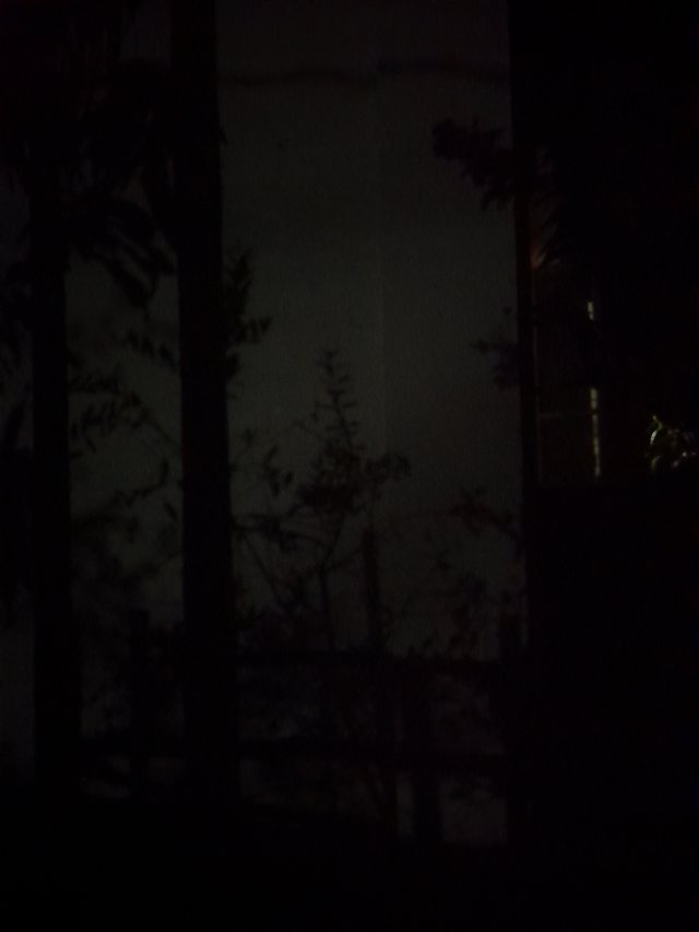 1000118598.jpg