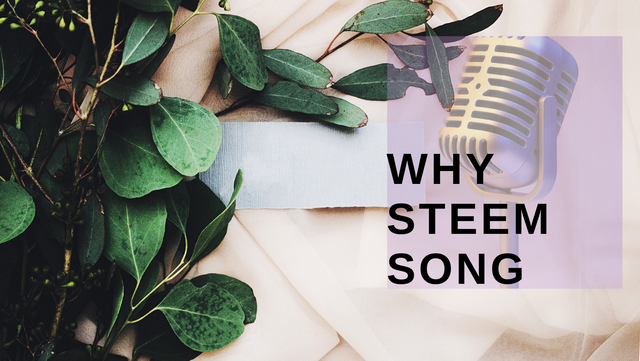 WHY STEEM SONG, копия.png