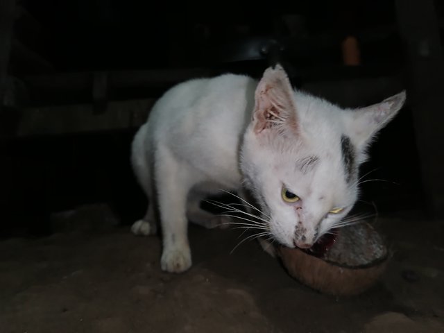 IMG_20250326_191650.