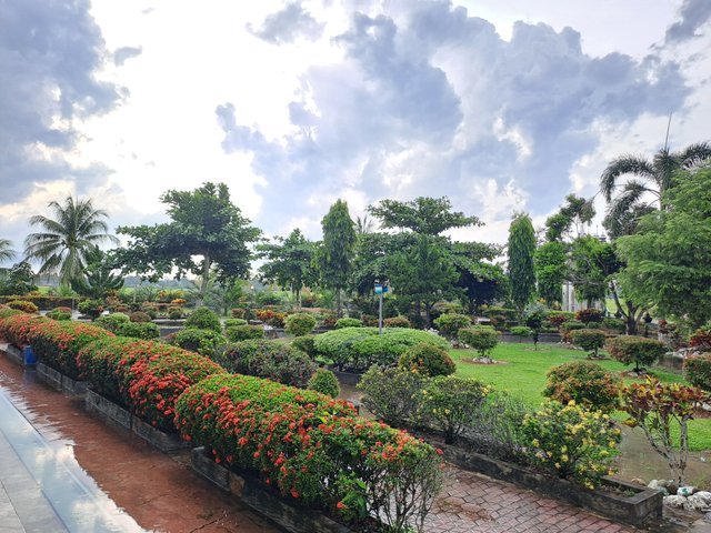 20250620_170355.jpg
