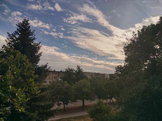 IMG_20250928_174239_HDR.jpg