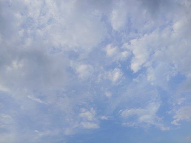 1001978089.jpg