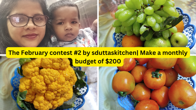 The February contest #2 by sduttaskitchen Make a monthly budget of $200.png