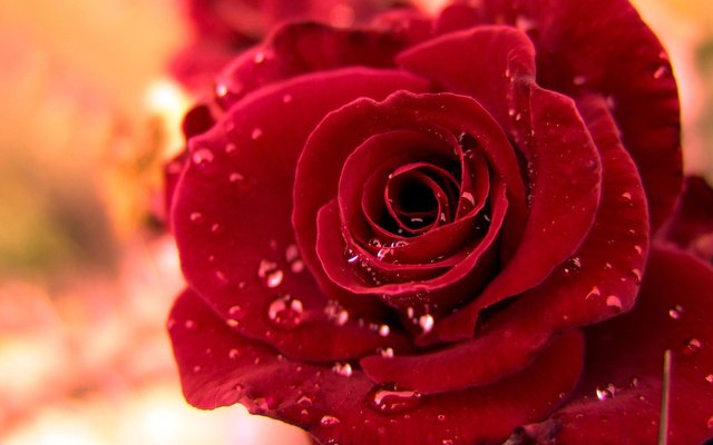 src=http___pic1_win4000_com_wallpaper_9_553751b977a0e_jpg&refer=http___pic1_win4000.jpg