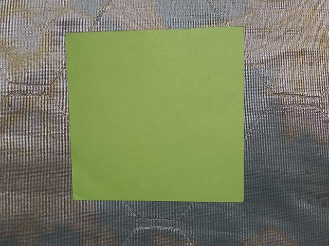 20250512_195330.jpg