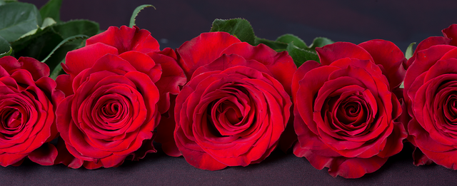 red-roses.png