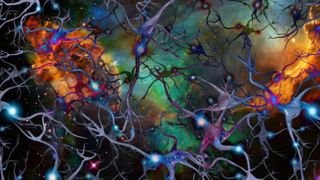 neurons-in-the-cosmos-771x433.jpg