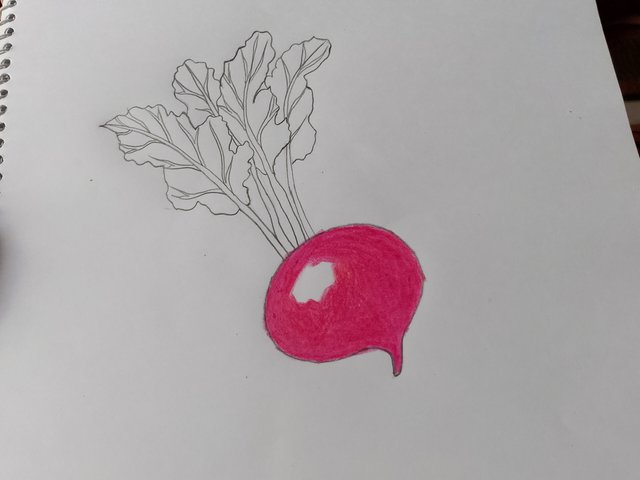 1000057766.jpg