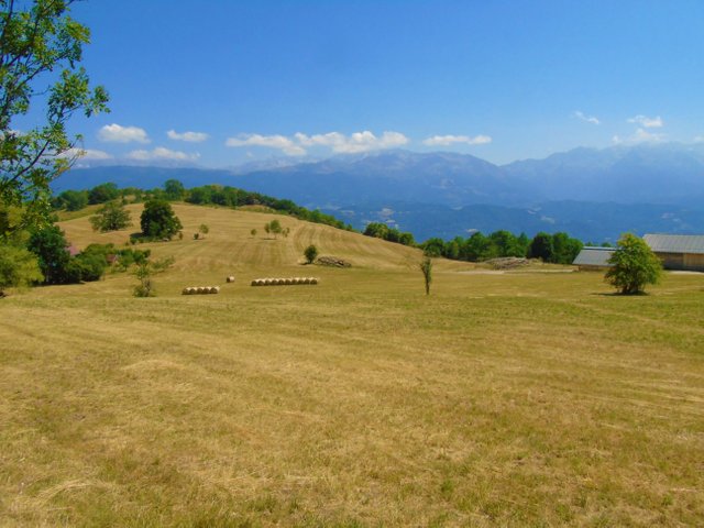 1photofeedlandscape94 (6).JPG