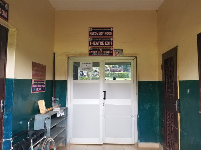 20250509_151159.jpg
