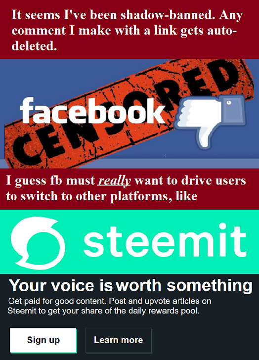 Bad FaceBook.png