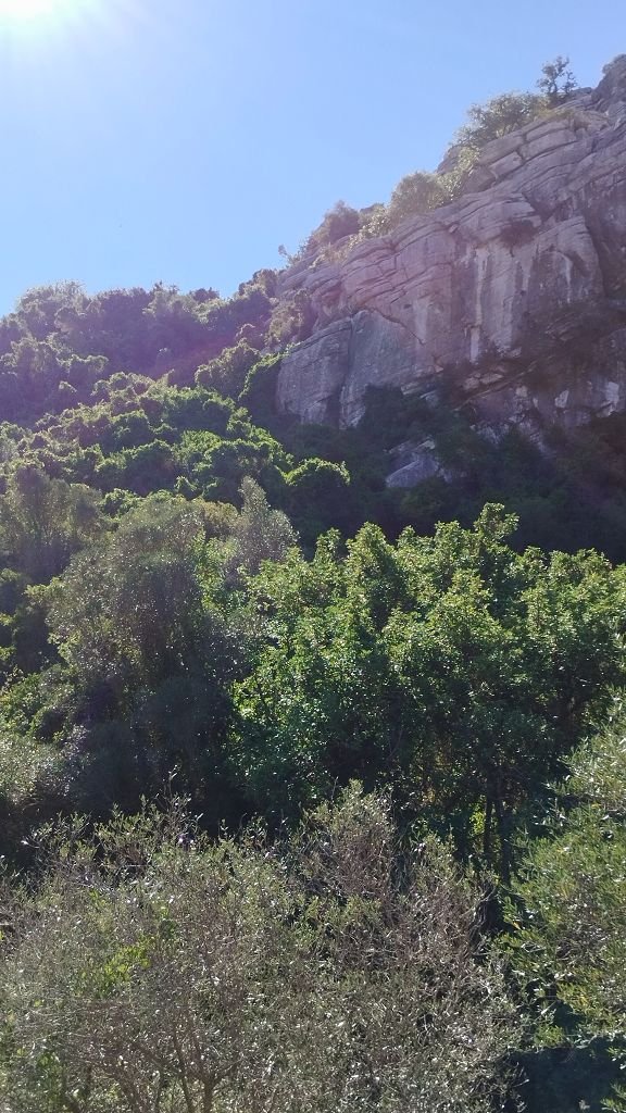 k-IMG_20231111_130740.jpg