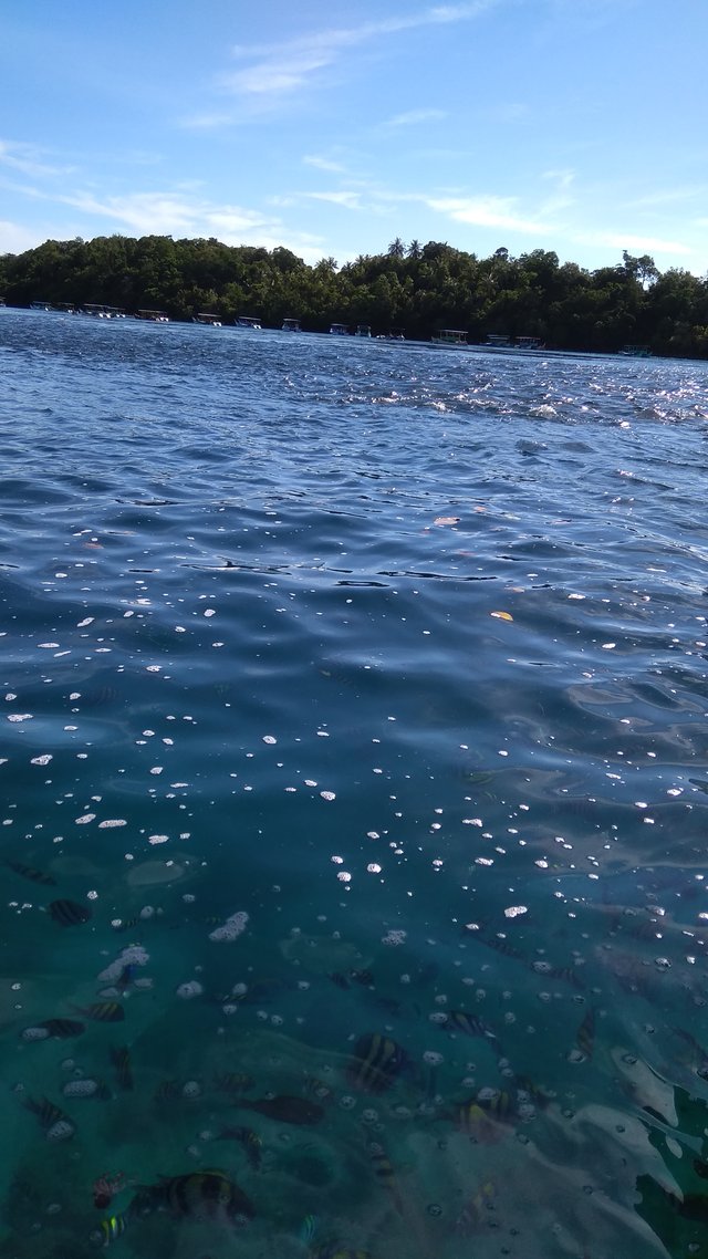 IMG_20190504_090126.jpg