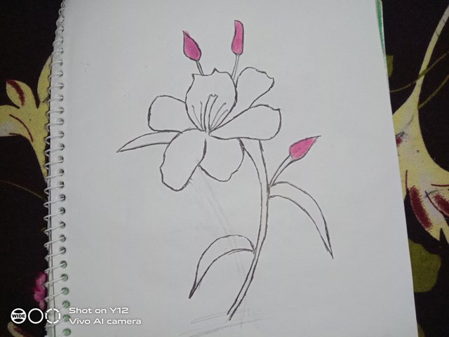 IMG_20250809_201146.jpg
