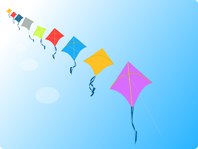 kites-152760_640.png