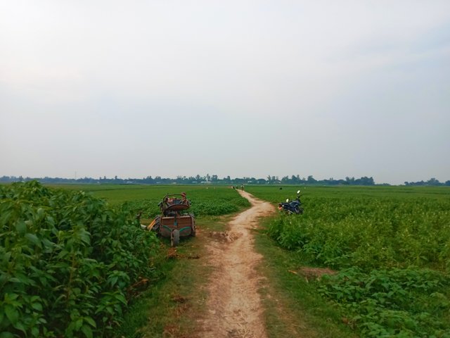 IMG_20250507_095156.jpg