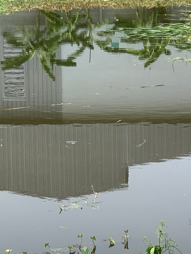 nature14.jpg