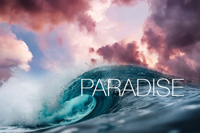 Paradise.jpg