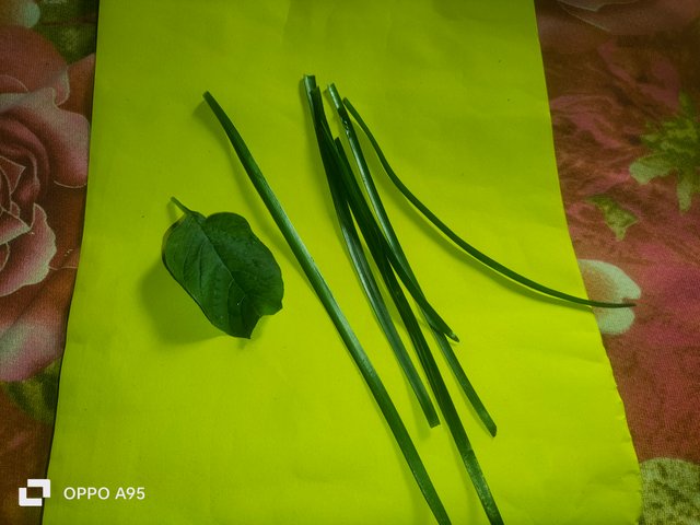 IMG20250604090602.jpg