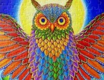 colorful_psychedelic_rainbow_owl_jigsaw_puzzle-rfbb96bc094444bfda2ffcdc6e008151d_amb0f_8byvr_307 (2).jpg