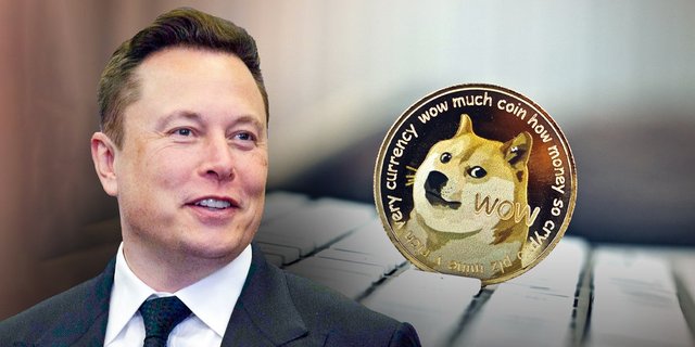 Elon-Musk-Dogecoin-2.jpg