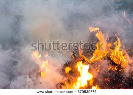 stock-photo-fire-smoke-on-the-grass-370539776.jpg