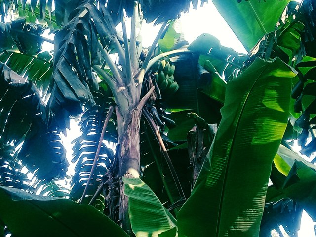 InShot_20251009_095701484.jpg