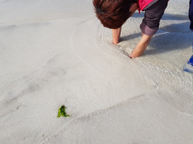20180713_153452.jpg