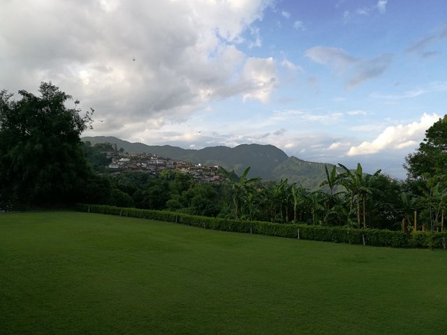 Doi Tung.jpg