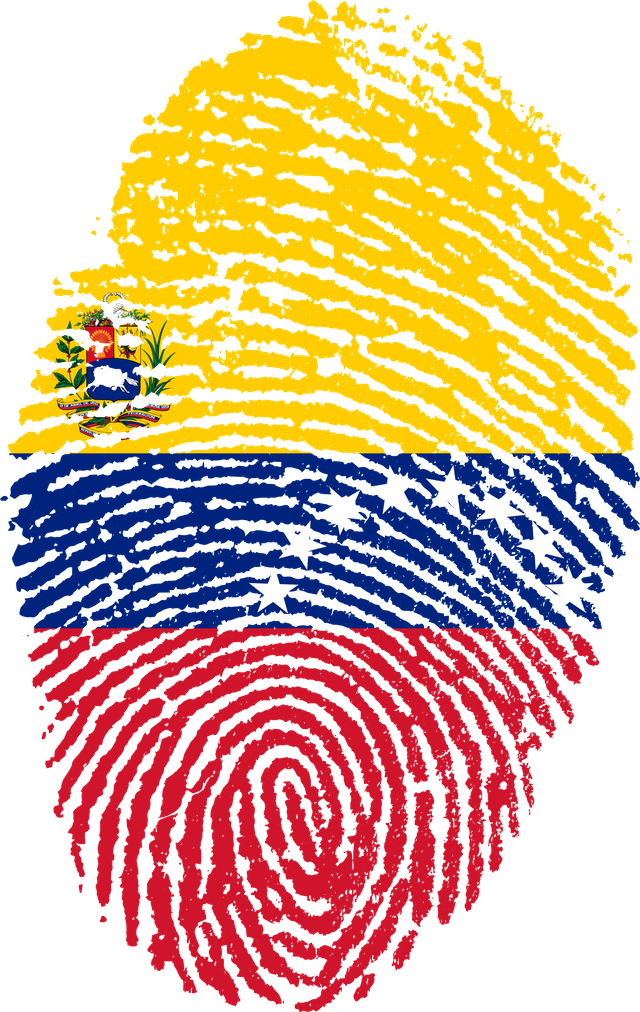 venezuela-653088.png