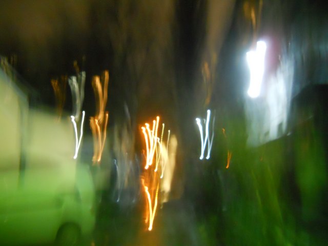 DSCN0040.JPG