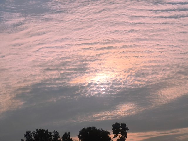 IMG_20250525_211102.jpg