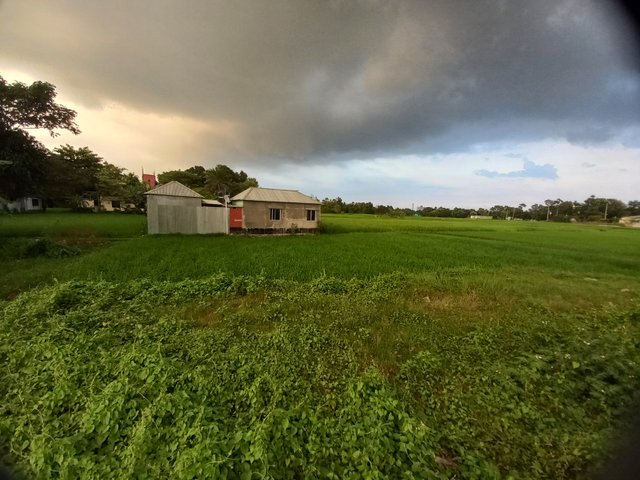 20221004_171052.jpg