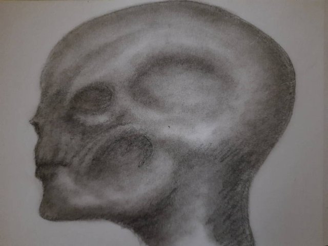 20250928_093141.jpg