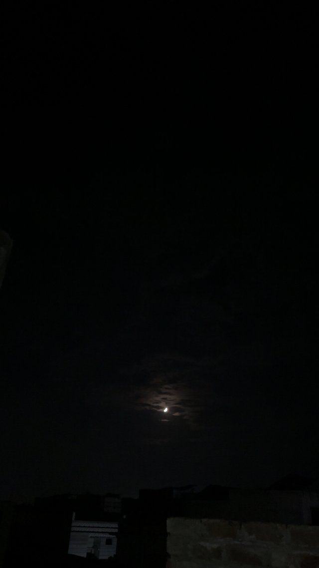IMG_6948.jpeg