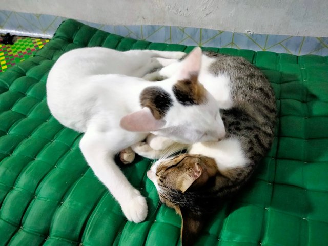 IMG20251016212218.jpg