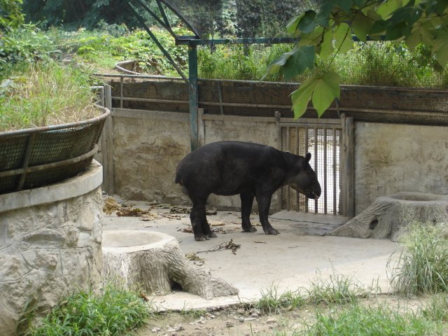 DSC04883.JPG