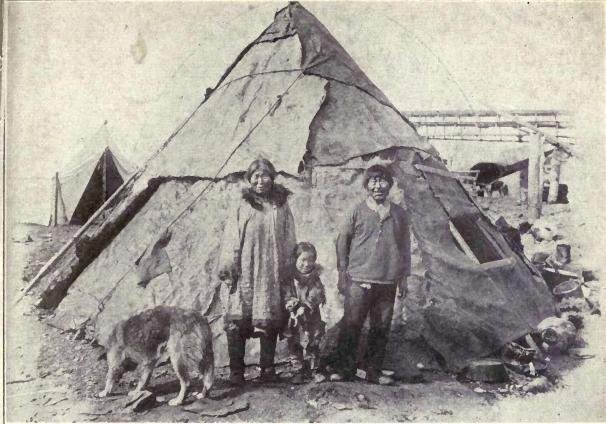 EskimoMalamute1915pd.JPG